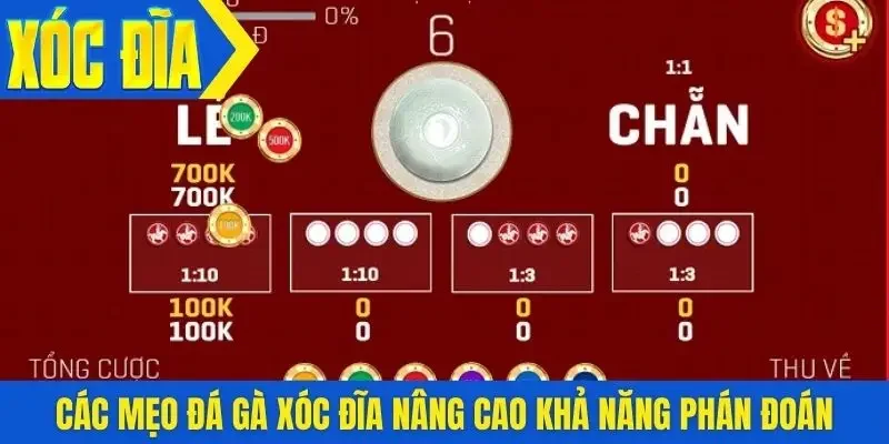 Các mẹo đá gà xóc đĩa nâng cao khả năng phán đoán