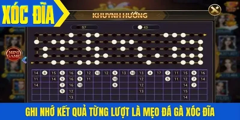 Ghi nhớ kết quả từng lượt là mẹo đá gà xóc đĩa