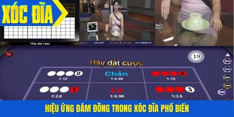 Hiệu ứng đám đông trong xóc đĩa phổ biến