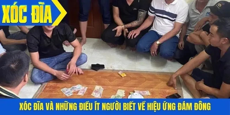 Xóc đĩa và những điều ít người biết về hiệu ứng đám đông