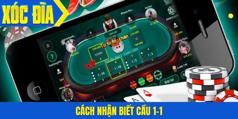 Cách nhận biết cầu 1-1