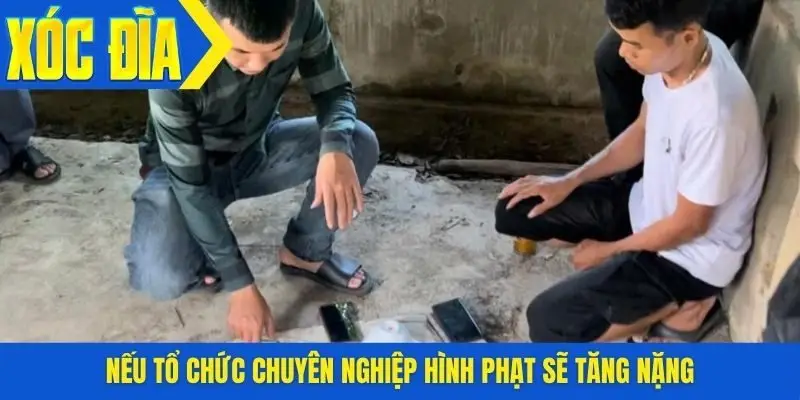 Nếu tổ chức chuyên nghiệp hình phạt sẽ tăng nặng