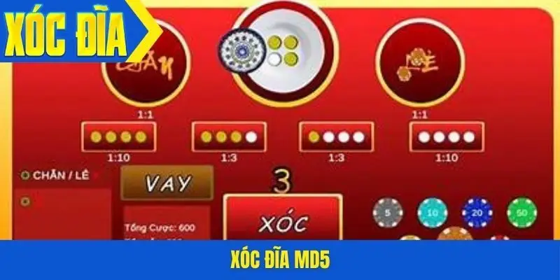 Xóc đĩa MD5